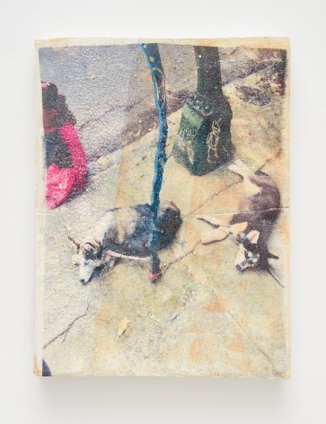 Lyric Shen photograph of two dogs on a sidewalk that has been water transferred onto a ceramic slab.