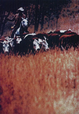 Photo of marlboro man heading cattle