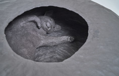 Interior view of cat sleeping inside of black vase