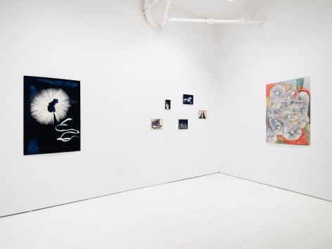 Disparate Visions, Installation View