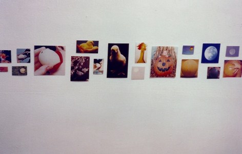 Postcard sized images of chicks and round objects