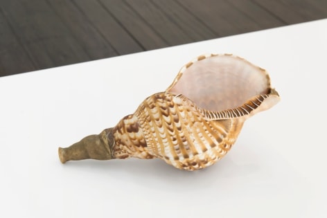 Close up of sea shell piece 'A passionate history of linguistic accomplishments'