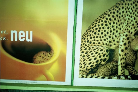 Closeup of photo featuring coffee cup and leopard