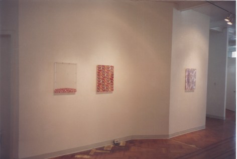 Installation view of three paintings