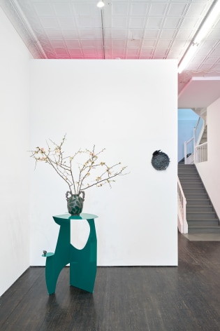 Installation view of ceramic vases with plants