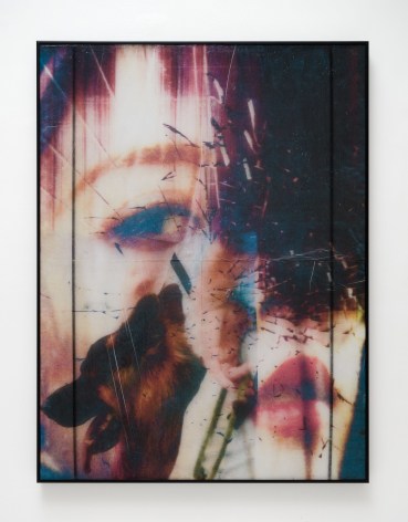 Sofia Sinibaldi image scans printed on tissue paper collaged together depicting partially obscured women's face and head of a dog.