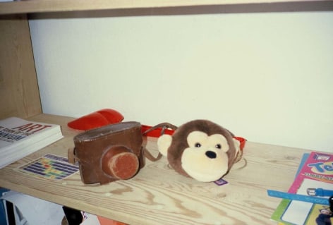 Photo of old camera on shelf next to stuffed toy monkey