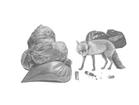 pencil drawing of wolf next to bag of trash