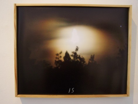 Photo of forest at night, framed