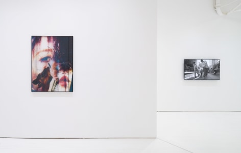 Installation view of the Contemporary Fossil Record Exhibition at the Jack Hanley Gallery. Photo of two walls.