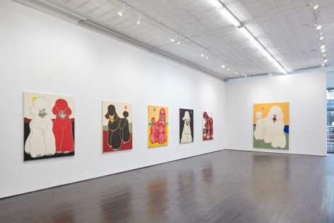 Installation image of multiple paintings of poodles