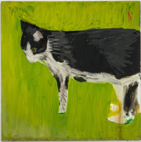 Individual view of Mary Ann Aitken untitled cat oil painting