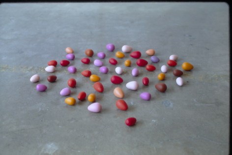 multicolored eggs