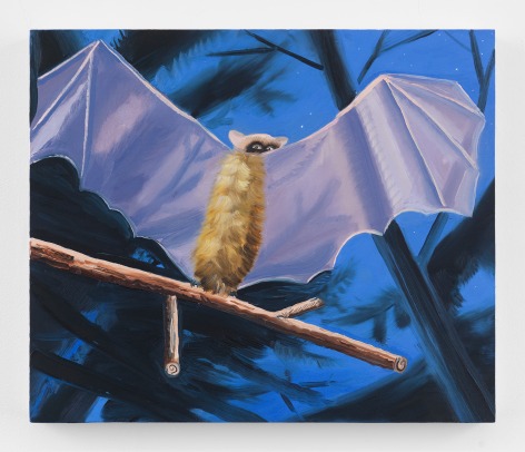 'Night Flight,'&nbsp;2015  Oil on canvas  17 x 20 inches