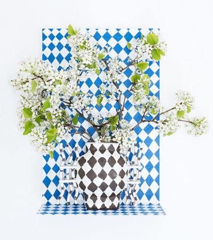 Black and white cases with flowers against blue and white background panel