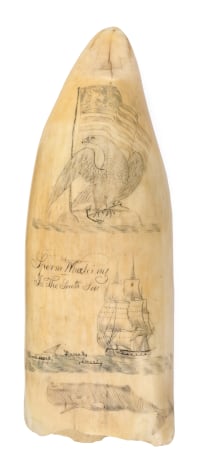 POLYCHROME SCRIMSHAW WHALE'S TOOTH ATTRIBUTED TO CALEB ALBRO Circa 1835-1847