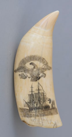 Scrimshaw Whales Tooth with Engraved Eagle over USN Pennsylvania, American circa 1850