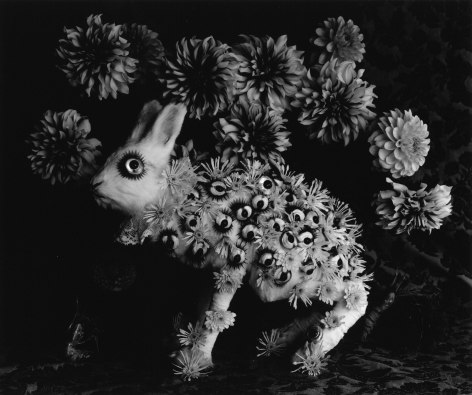 Michiko Kon rabbit