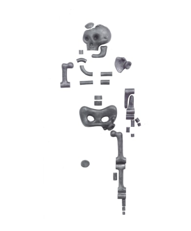 Skeleton