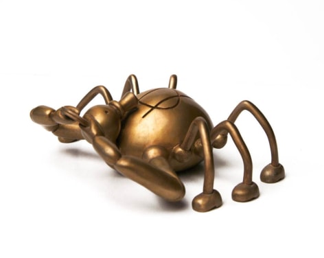Moneybag Spider