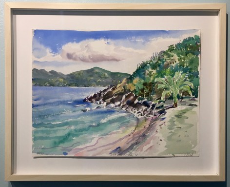 BVI Series