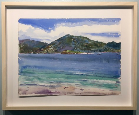 BVI Series