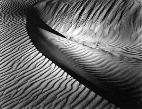 Brett Weston - Dune