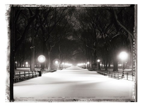 Christopher Thomas- Central Park