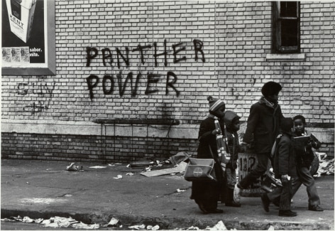 Stephen Shames- &quot;Panther Power&quot;
