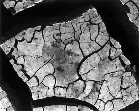 Brett Weston - Mud Cracks