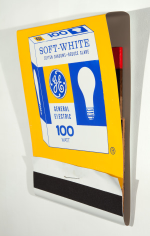 SKYLAR FEIN, GE Soft White [side view], 2014