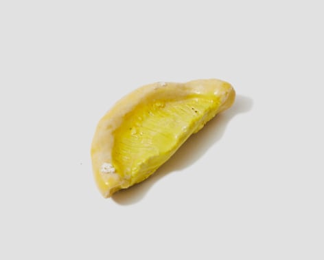 JENNY DAY, Lemons, 2023