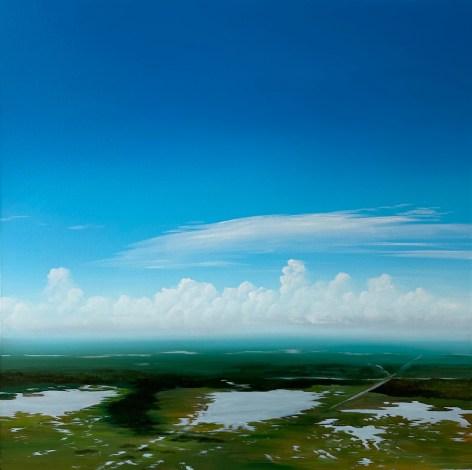 Aerial view painting of Louisiana wetlands