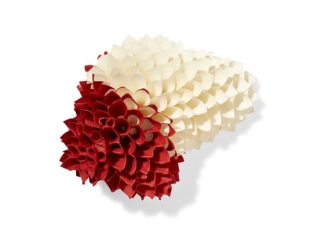 SAMUELLE GREEN, red dip, 2021