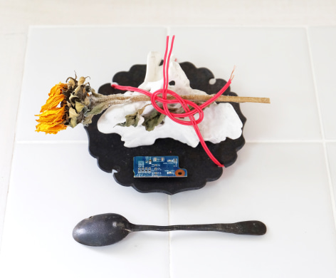 AKIHIKO SUGIURA, Human, 2018