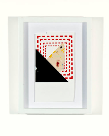 SKYLAR FEIN Obscene Sunrise, 2011