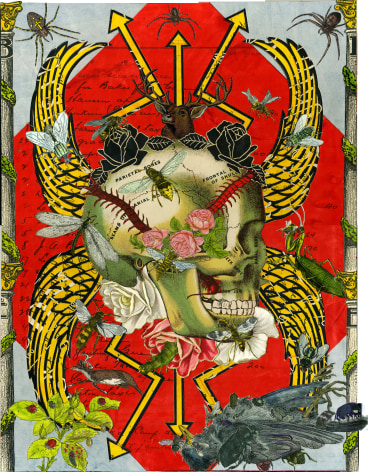 MICHAEL PAJON, The Sincerity of Death and Roses, 2014