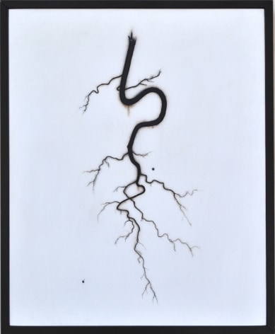 BRIAN BORRELLO Root, 2008