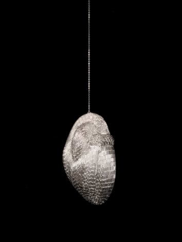 ESPERANZA CORTÉS, Corazón Plateado/ Silver Heart, 2012