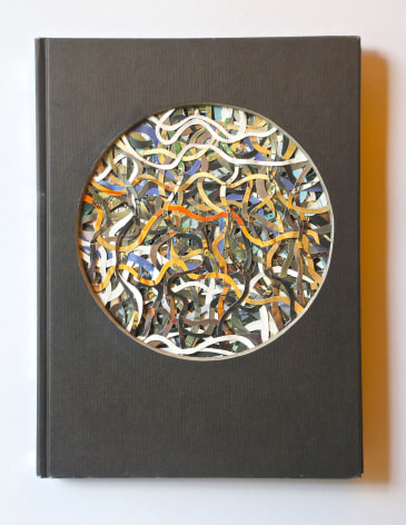 TONY DAGRADI National Air and Space Museum, 2017