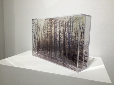 ROSEMARY SCOTT-FISHBURN I Wanted You to Find Me&nbsp;[side view], 2015