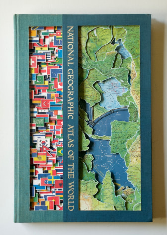 TONY DAGRADI, Flag Day, 2020