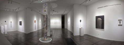 ESPERANZA CORT&Eacute;S&nbsp;, Arrested Symphony