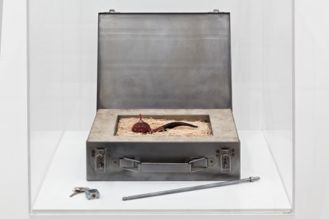 MEL CHIN, Elementary Object (For Corsica), 1993