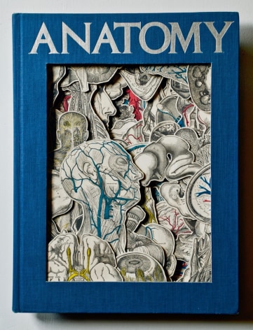 TONY DAGRADI, Anatomy, 2021