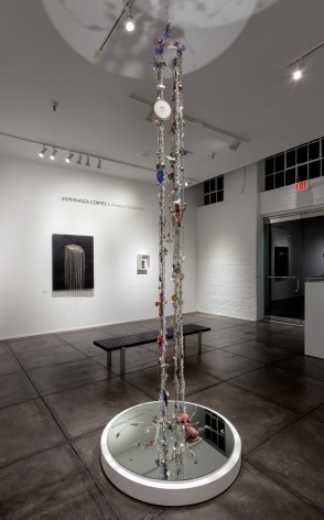 ESPERANZA CORT&Eacute;S&nbsp;, Arrested Symphony