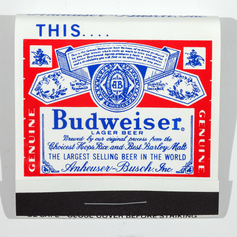 SKYLAR FEIN Budweiser, 2015