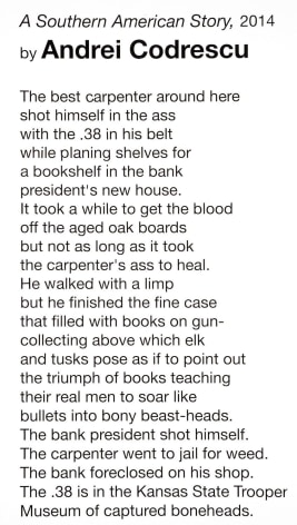 ANDREI CODRESCU, A Southern American Story, 2014