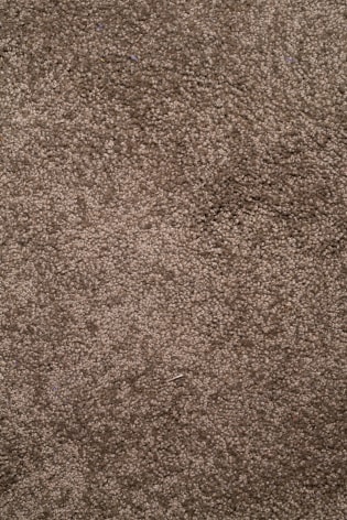 ARTEMIS ANTIPPAS, Sample (10), 2021