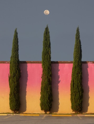 JACOB MITCHELL, Pink Lemonade, 2020